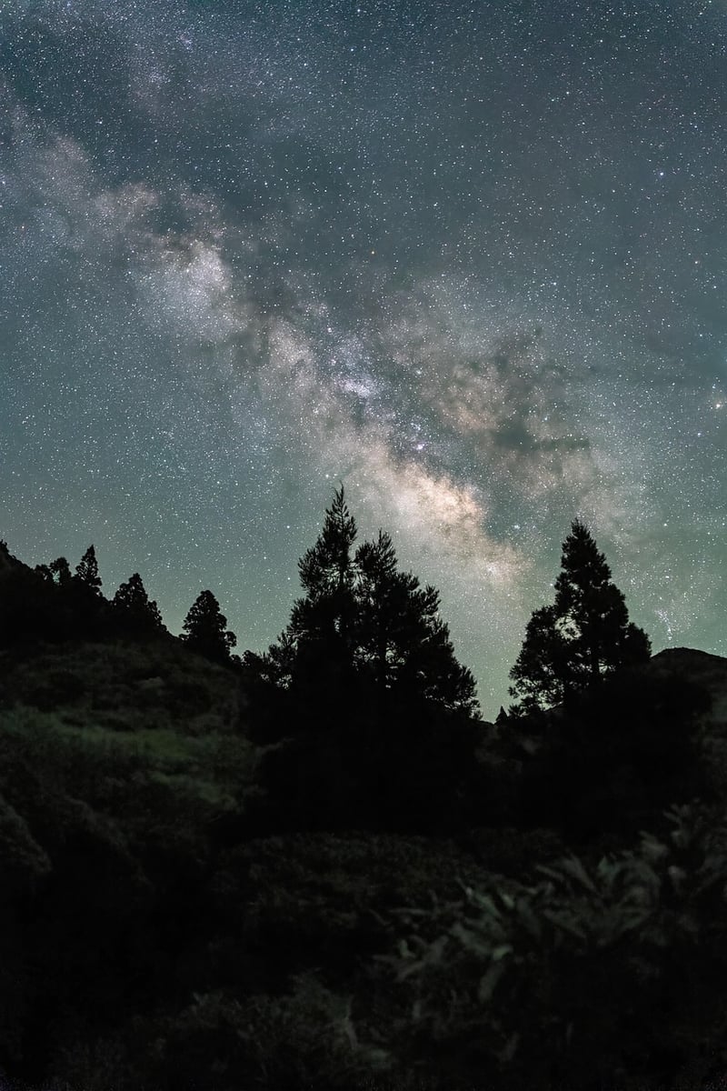 Meditation and mindfulness